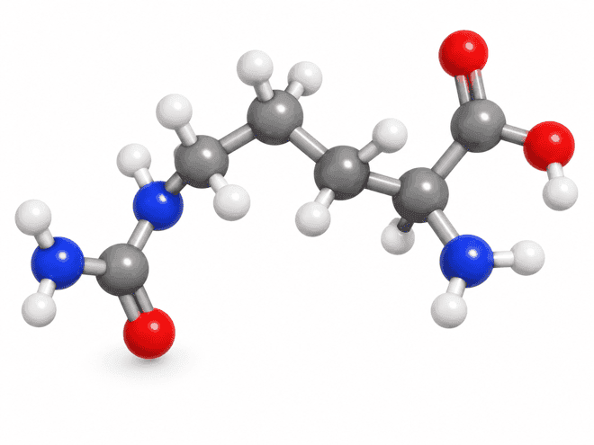 L-Citrulline + Sildenafil molecule